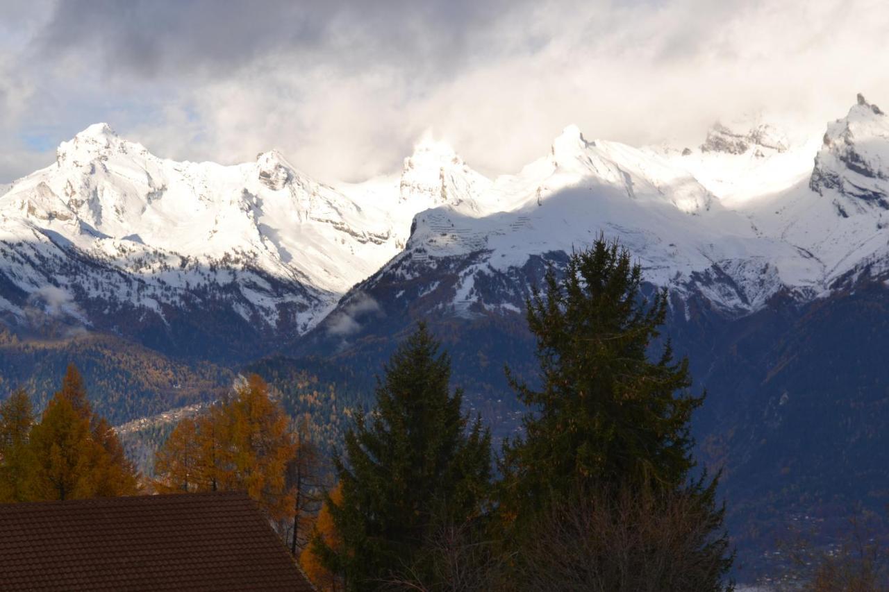 Les 2 Sabots Villa Nendaz Exterior photo